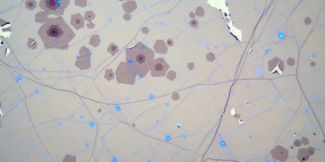 Optical micrograph from the previous production line, showing adlayer islands and wrinkles