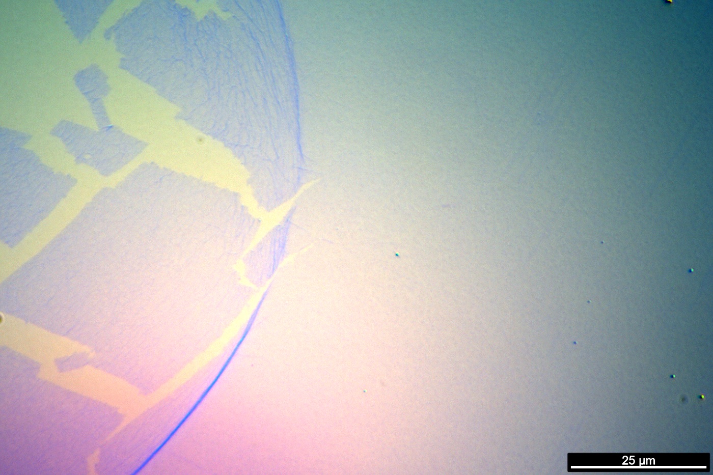 Optical micrograph — hBN edge, 100×, 25 μm scale