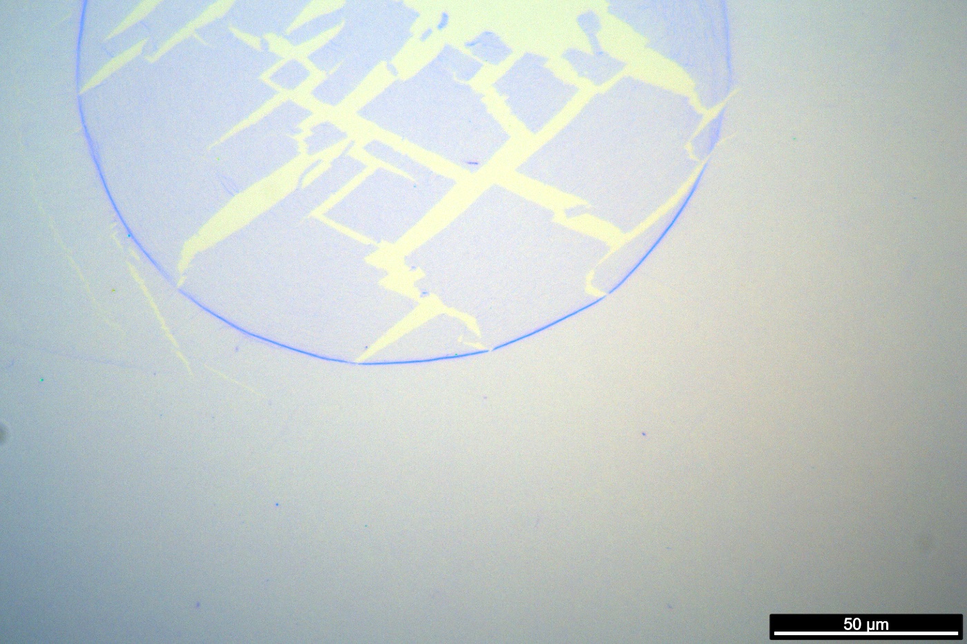 Optical micrograph — hBN, 50×, 50 μm scale
