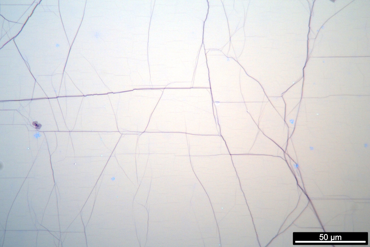 Optical micrograph — graphene on copper, 50×